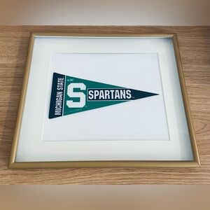 College/University Pennant Flags Framed 11x13